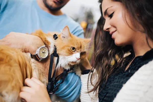 people with cat at petshop