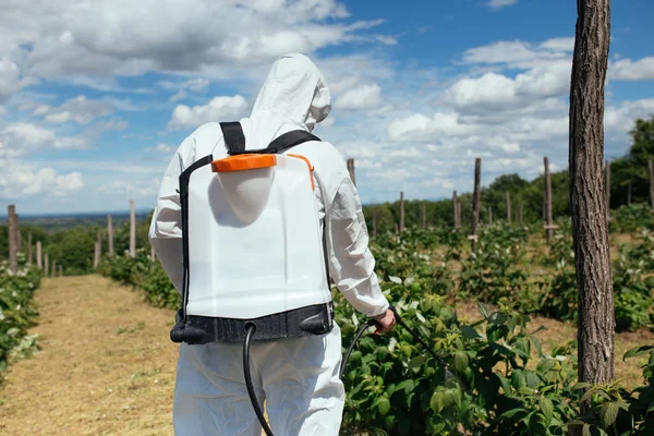 Homem pulverizando pesticidas tóxicos — Fotografia de Stock