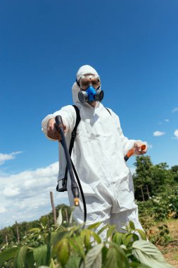 Endüstriyel tarım Tema. Püskürtme zehirli böcek ilacı veya meyve plantasyon büyüyen böcek öldürücüler dostum. Güneşli doğal sert ışık. Mavi Gökyüzü bulutlu arka planda