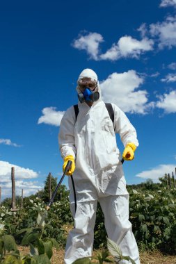 Endüstriyel tarım Tema. Püskürtme zehirli böcek ilacı veya meyve plantasyon büyüyen böcek öldürücüler dostum. Güneşli doğal sert ışık. Mavi Gökyüzü bulutlu arka planda