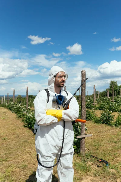 Tema Agricultura Industrial Homem Pulverizando Pesticidas Tóxicos Inseticidas Plantação Frutas — Fotografia de Stock