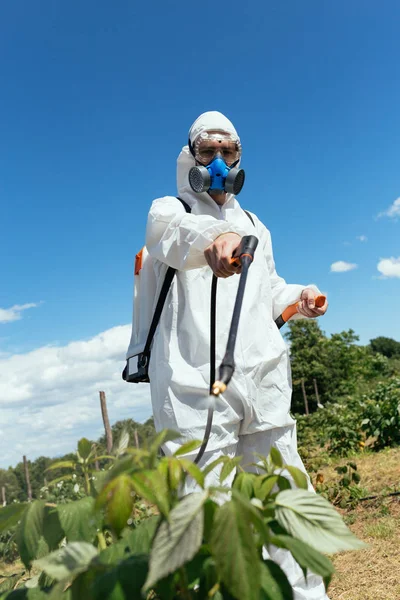 Thema Van Industriële Landbouw Man Spuit Giftige Pesticiden Insecticiden Fruitteelt — Stockfoto