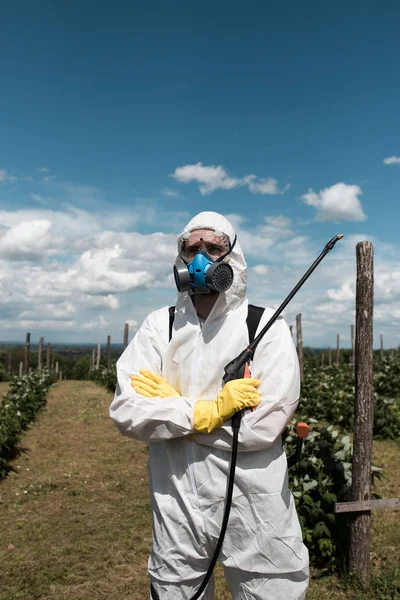 Tema Agricultura Industrial Homem Pulverizando Pesticidas Tóxicos Inseticidas Plantação Frutas — Fotografia de Stock