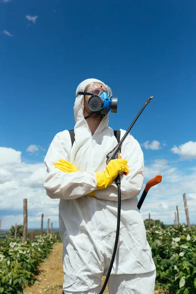 Průmyslové Zemědělství Téma Muž Postřik Toxické Pesticidy Nebo Insekticidy Ovocnictví — Stock fotografie
