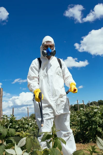 Thema Van Industriële Landbouw Man Spuit Giftige Pesticiden Insecticiden Fruitteelt — Stockfoto