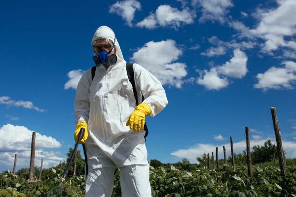 Тема Промислового Сільського Господарства Людина Розпилює Токсичні Пестициди Або Інсектициди — стокове фото