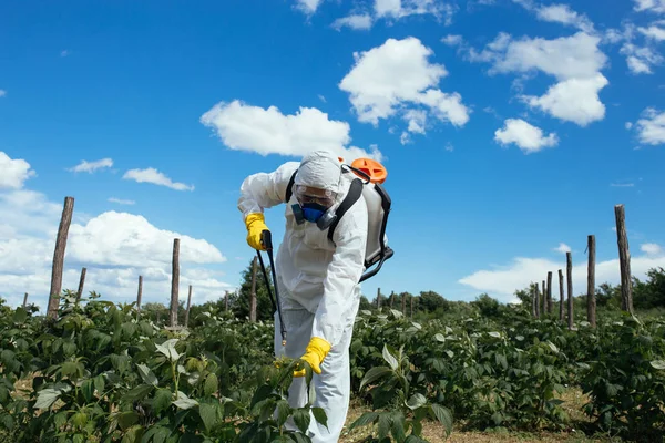 工业农业主题 男子喷洒有毒杀虫剂或杀虫剂在果树种植 阳光明媚的日子里自然的硬光 蓝天白云背景 — 图库照片