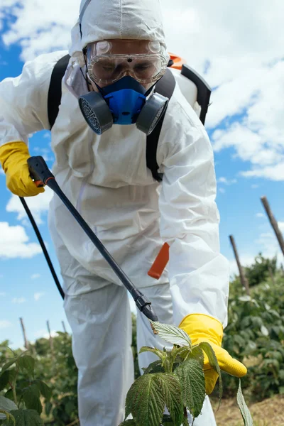 Tema Agricultura Industrial Homem Pulverizando Pesticidas Tóxicos Inseticidas Plantação Frutas — Fotografia de Stock