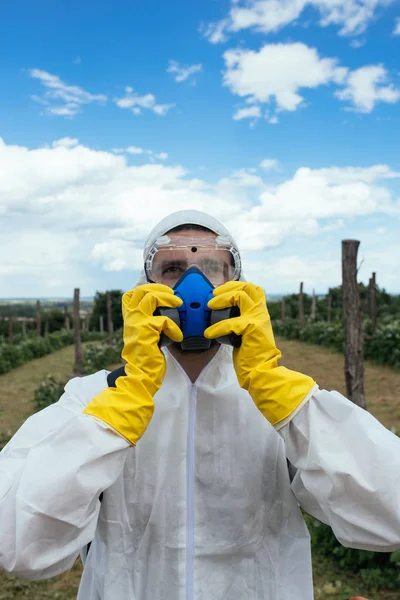 Thema Van Industriële Landbouw Man Spuit Giftige Pesticiden Insecticiden Fruitteelt — Stockfoto