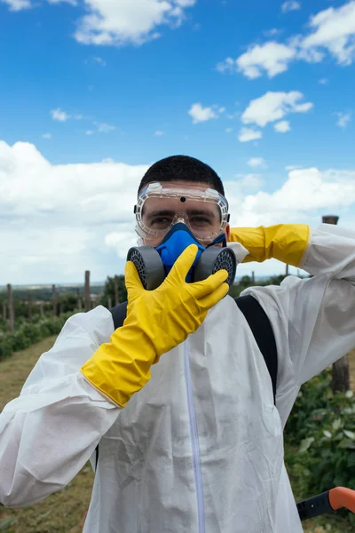 Tema Agricultura Industrial Homem Pulverizando Pesticidas Tóxicos Inseticidas Plantação Frutas — Fotografia de Stock