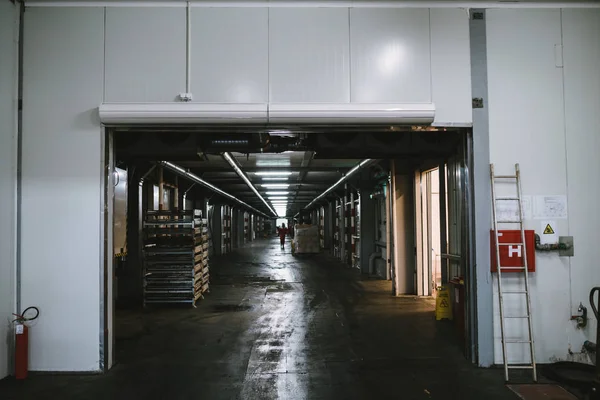 産業機械のインテリア 選択および深い冷凍食品の維持のための工場の巨大な生産ホール — ストック写真