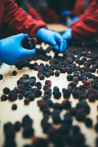 Menschen Bei Der Arbeit Unerkennbare Arbeiterhände Blauen Schutzhandschuhen Machen Eine — Stockfoto