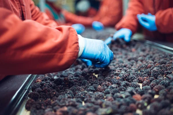 Menschen Bei Der Arbeit Unerkennbare Arbeiterhände Blauen Schutzhandschuhen Machen Eine — Stockfoto