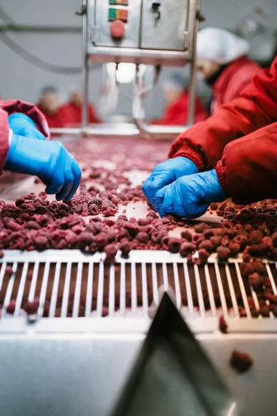 Menschen Bei Der Arbeit Unerkennbare Arbeiterhände Blauen Schutzhandschuhen Wählen Gefrorene — Stockfoto