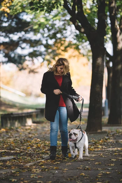 Pretty Woman Walking Park Her Adorable English Bulldog Autumn Time — Stock Photo, Image