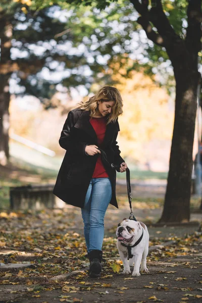 Pretty Woman Walking Park Her Adorable English Bulldog Autumn Time — Stock Photo, Image