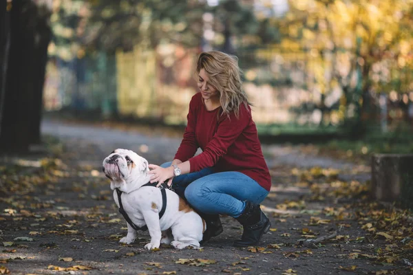 People and dogs outdoors. Beautiful and happy woman enjoying in autumn park walking with her adorable English bulldog