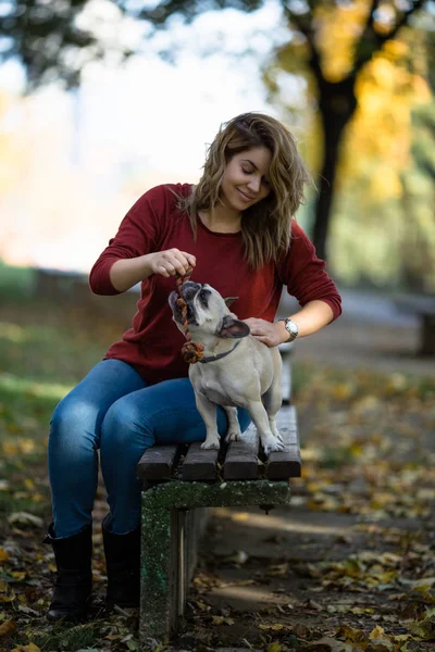 Pretty Woman Enjoying Park Her Adorable English Bulldog Autumn Time — Stock Photo, Image