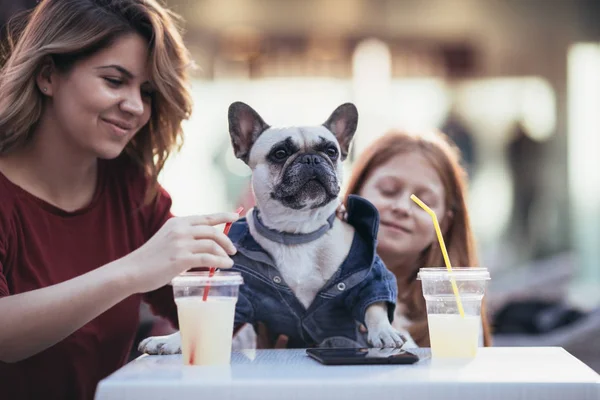 Mother Daughter Enjoying French Bulldog Cafeteria Selective Focus Dog — Stock Photo, Image