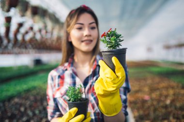 Serada çalışan ve güzel çiçekler zevk çekici genç kadın. Basılı tutup küçük fidan incelenmesi