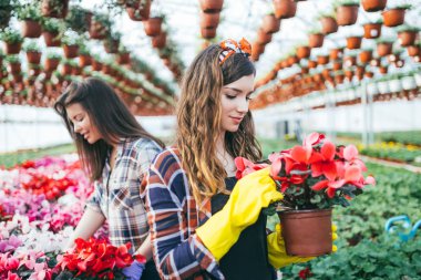 Serada çalışan ve güzel çiçekler zevk iki çekici genç kadın