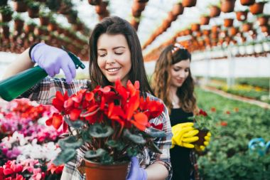 Serada çalışan ve güzel çiçekler zevk iki çekici genç kadın