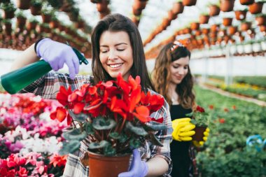 Serada çalışan ve güzel çiçekler zevk iki çekici genç kadın