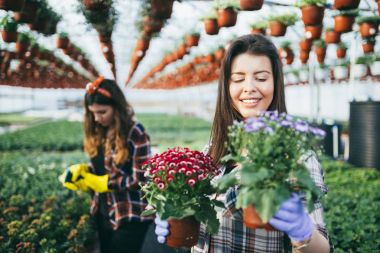 Serada çalışan ve güzel çiçekler zevk iki çekici genç kadın