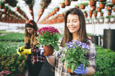 Serada çalışan ve güzel çiçekler zevk iki çekici genç kadın