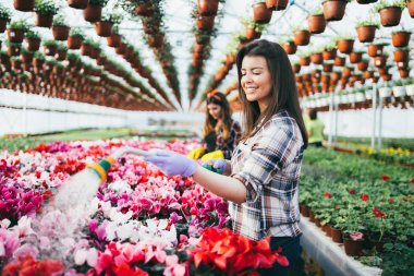 Serada çalışan ve güzel çiçekler zevk iki çekici genç kadın