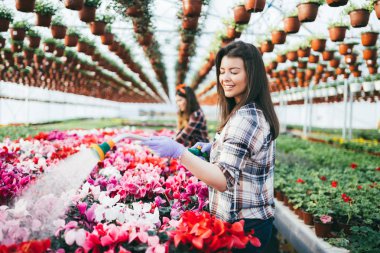 Serada çalışan ve güzel çiçekler zevk iki çekici genç kadın