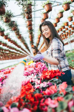 Serada çalışan ve güzel çiçekler zevk iki çekici genç kadın