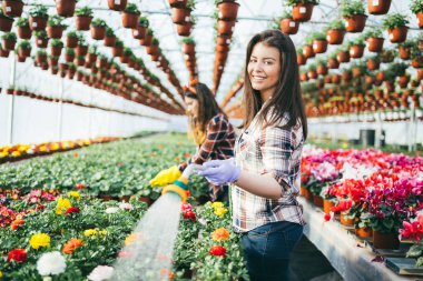 Serada çalışan ve güzel çiçekler zevk iki çekici genç kadın