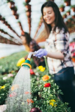 Serada çalışan ve güzel çiçekler zevk iki çekici genç kadın
