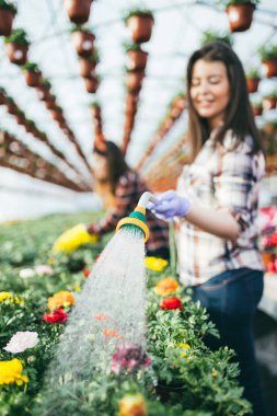 Serada çalışan ve güzel çiçekler zevk iki çekici genç kadın
