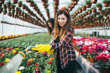 Serada çalışan ve güzel çiçekler zevk iki çekici genç kadın