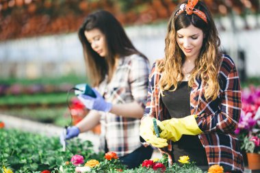 Serada çalışan ve güzel çiçekler zevk iki çekici genç kadın