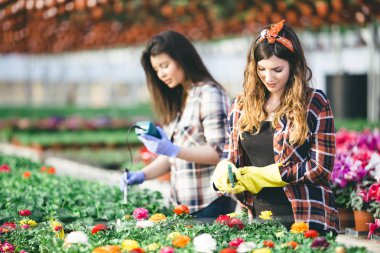 Serada çalışan ve güzel çiçekler zevk iki çekici genç kadın