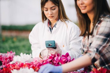 Serada çalışan ve güzel çiçekler zevk iki çekici genç kadın