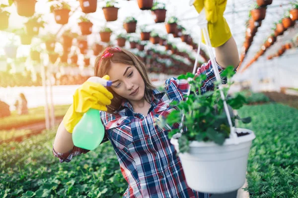 Attractive Young Woman Working Greenhouse Enjoying Beautiful Flowers She Holding — Stock Photo, Image