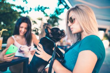 Bir kafeteryada zevk güzel genç kadın çok güzel tutmak Fransızca kukla bulldog 