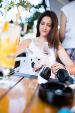 Sevimli Fransız bulldog köpeği ile kafede oturan güzel genç kadın. Köpekler Tema grubu