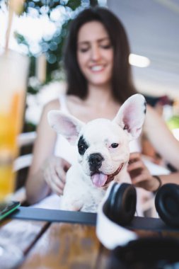 Sevimli Fransız bulldog köpeği ile kafede oturan güzel genç kadın. Köpekler Tema grubu