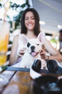 Sevimli Fransız bulldog köpeği ile kafede oturan güzel genç kadın. Köpekler Tema grubu