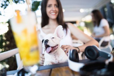 Sevimli Fransız bulldog köpeği ile kafede oturan güzel genç kadın. Köpekler Tema grubu