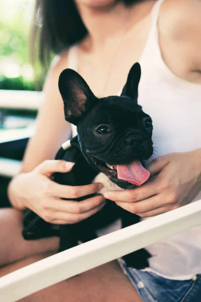 Kadın Sahibi Ile Güzel Fransız Bulldog Köpek Yavrusu Doz Kapatın — Stok fotoğraf