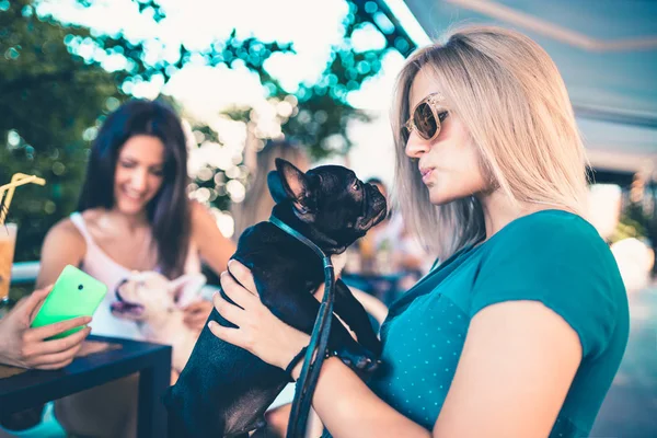 Bir kafeteryada zevk güzel genç kadın çok güzel tutmak Fransızca kukla bulldog 