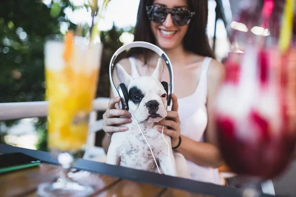 Cute White French Bulldog Puppy Enjoying Owner Lap Listening Music — стоковое фото