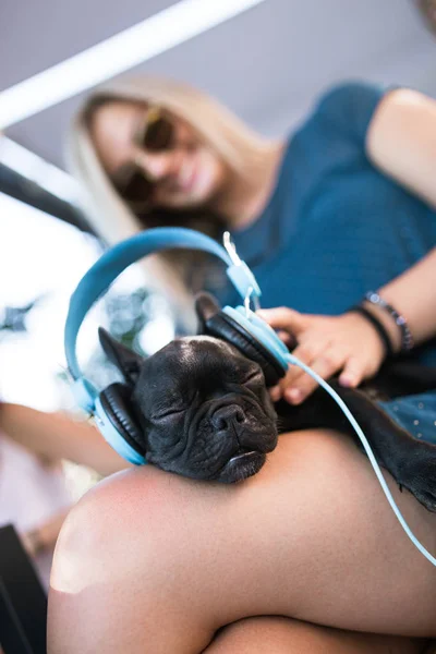 Cute White French Bulldog Puppy Enjoying Owner Lap Listening Music — Stock Photo, Image