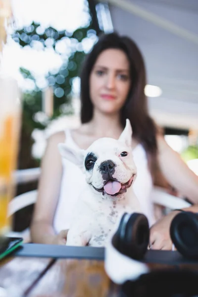 Beautiful young woman sitting in cafe with her adorable French bulldog puppy. People with dogs theme